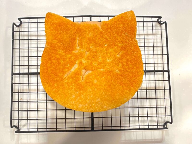 ネコの形になった食パン
